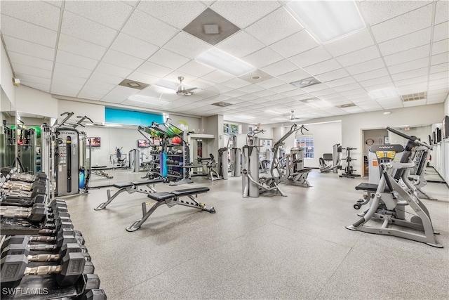 workout area with a paneled ceiling and ceiling fan