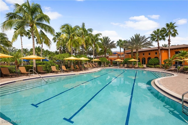 view of swimming pool featuring a patio area