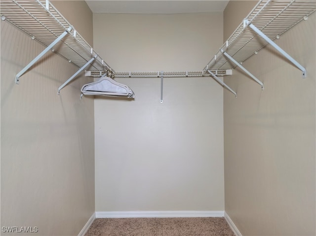 walk in closet featuring carpet flooring