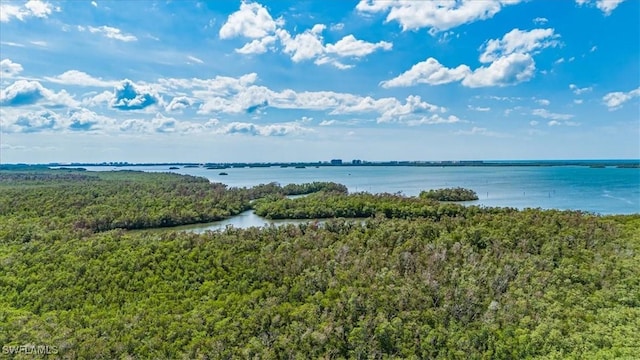 4875 Pelican Colony Blvd Unit 304, Bonita Springs, FL 34134 - water view with a forest