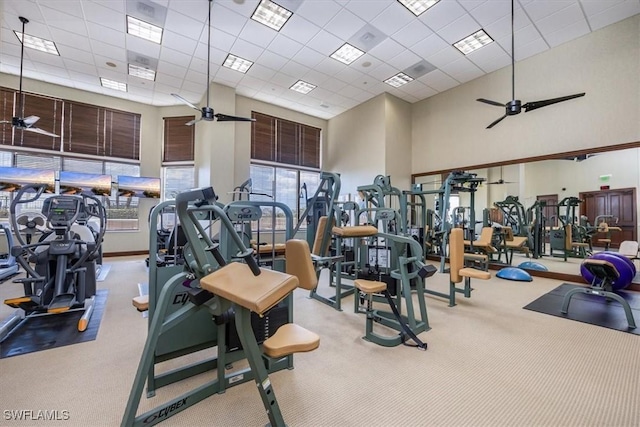 4875 Pelican Colony Blvd Unit 304, Bonita Springs, FL 34134 - exercise room with a high ceiling, carpet floors, ceiling fan, and a drop ceiling