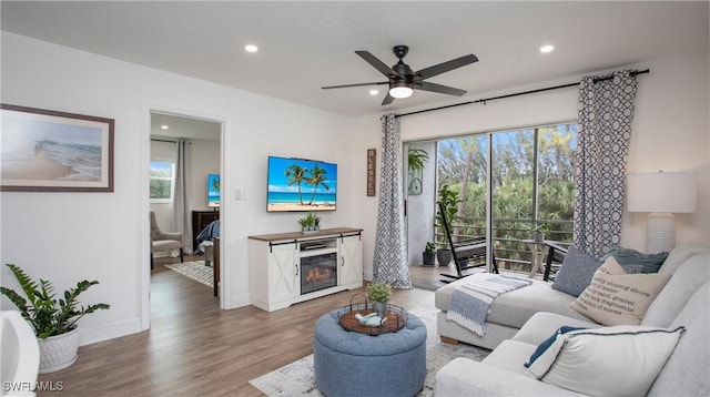 living room with wood-type flooring and ceiling fan