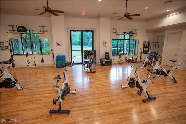 workout area with crown molding, ceiling fan, and light wood-type flooring