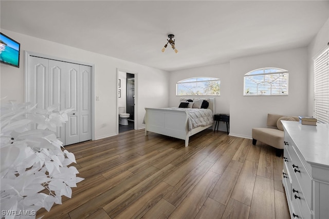 bedroom with dark hardwood / wood-style flooring, connected bathroom, and a closet