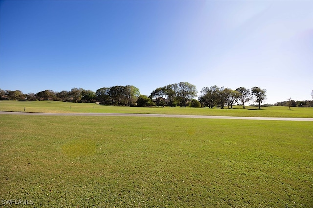 view of community with a lawn