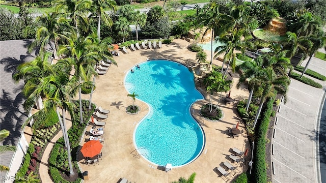 view of swimming pool featuring a patio area