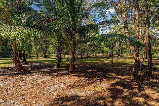 4535 3rd Ave NW, Naples, FL 34119 - photo 2