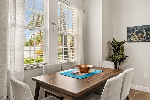 dining room featuring a healthy amount of sunlight and tile patterned floors