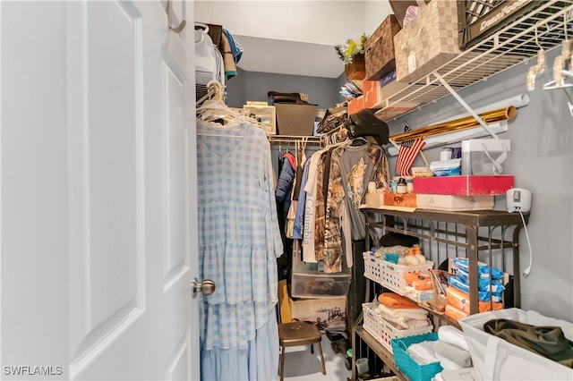 view of walk in closet