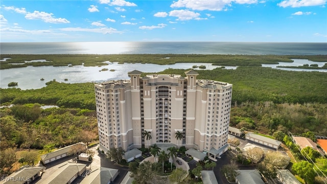 1001 Arbor Lake Dr Unit 1003, Naples, FL 34110 - aerial view of a large body of water and apartment complex