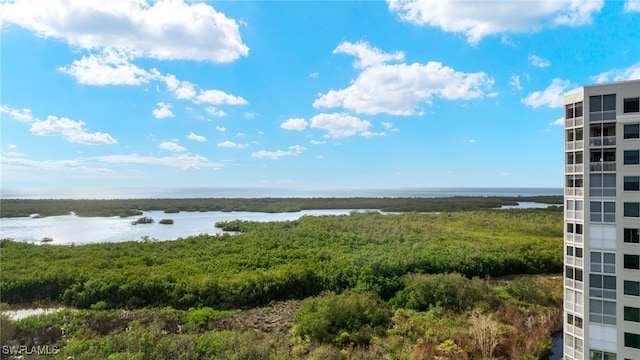 1001 Arbor Lake Dr Unit 1003, Naples, FL 34110 - water view