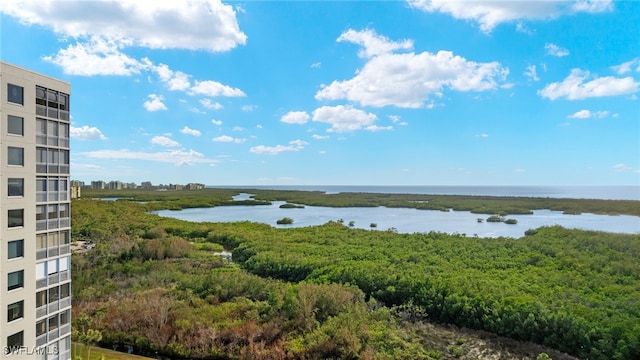 1001 Arbor Lake Dr Unit 1003, Naples, FL 34110 - water view