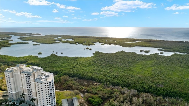 1001 Arbor Lake Dr Unit 1003, Naples, FL 34110 - aerial view of a large body of water and a heavily wooded area