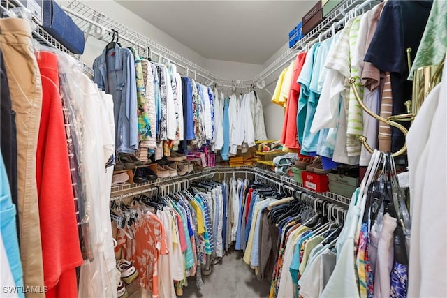 spacious closet with carpet