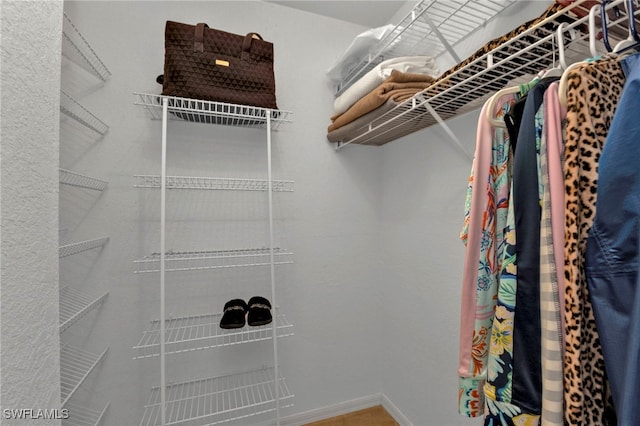 view of spacious closet