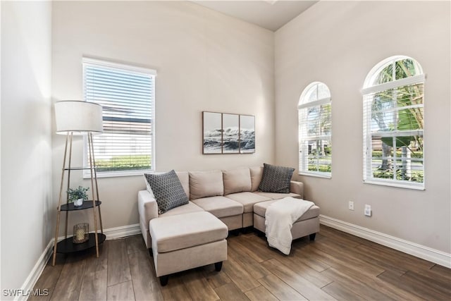 living room with hardwood / wood-style floors and plenty of natural light