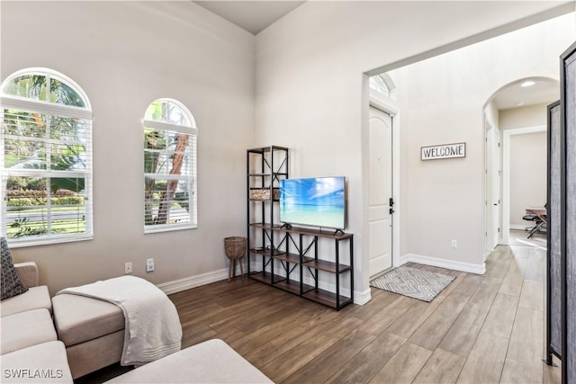 7821 Ashton Rd, Naples, FL 34113 - living room with arched walkways and wood finished floors