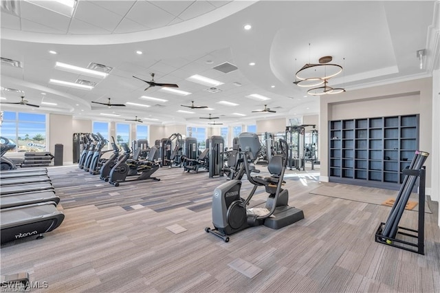 exercise room featuring ceiling fan, a healthy amount of sunlight, and light colored carpet