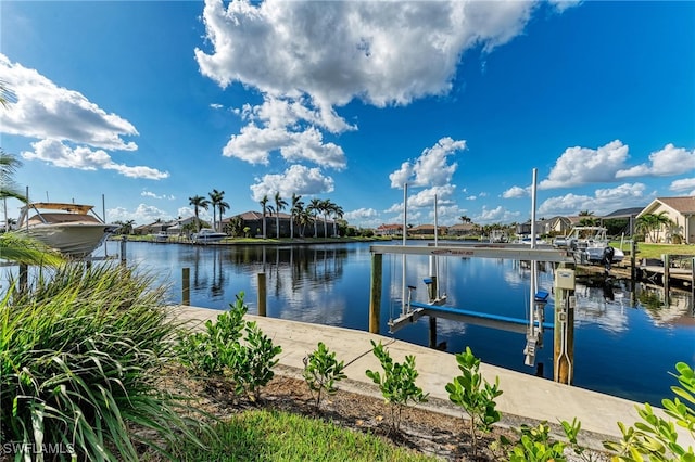 dock area with a water view