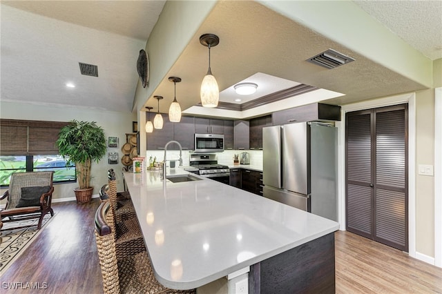 kitchen with kitchen peninsula, appliances with stainless steel finishes, light hardwood / wood-style floors, dark brown cabinetry, and sink