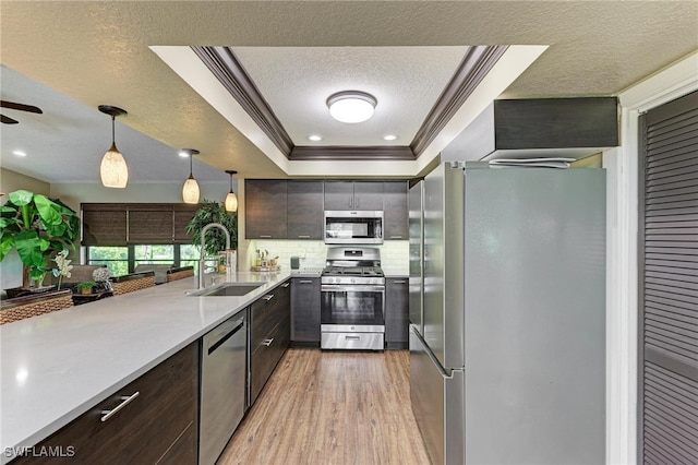 kitchen featuring sink, a tray ceiling, stainless steel appliances, decorative light fixtures, and light hardwood / wood-style flooring