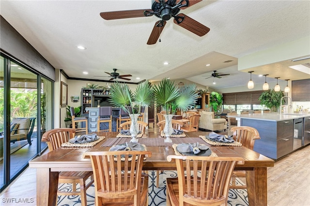 dining space with sink, a textured ceiling, light hardwood / wood-style floors, and ceiling fan