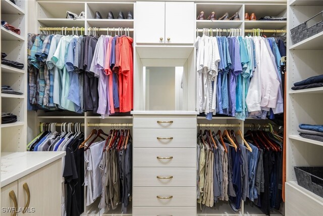 view of spacious closet