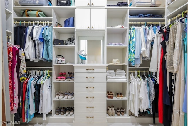 view of spacious closet