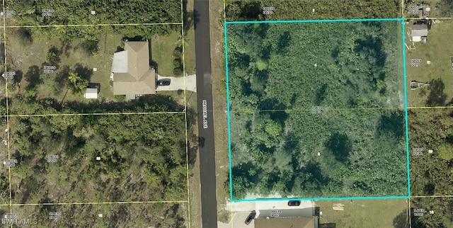 1016 Michael Ave, Lehigh Acres FL, 33936 land for sale