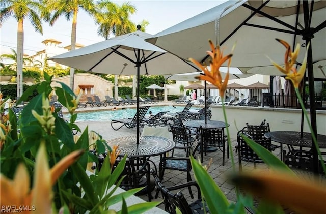 view of swimming pool featuring a patio