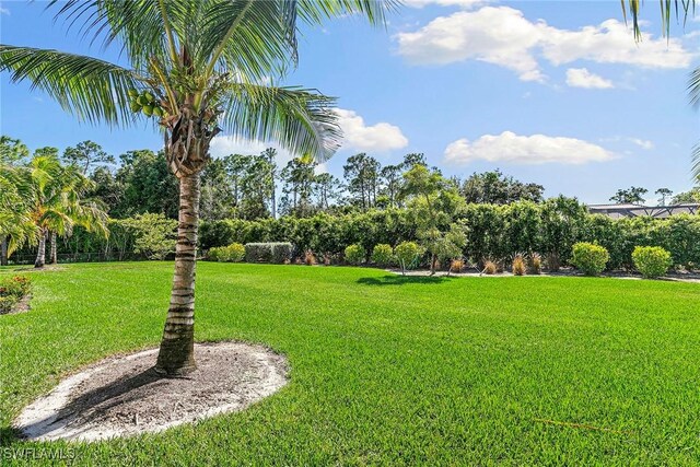 607 Myrtle Rd, Naples, FL 34108 - view of grassy yard