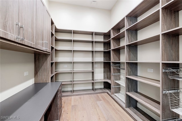 spacious closet featuring light hardwood / wood-style flooring