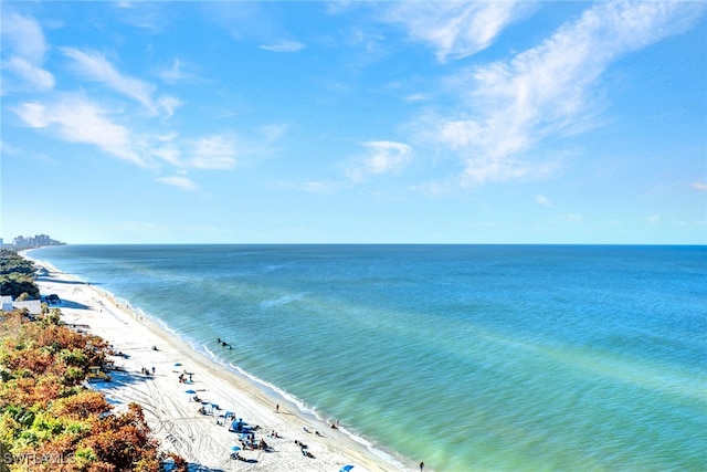 property view of water featuring a beach view