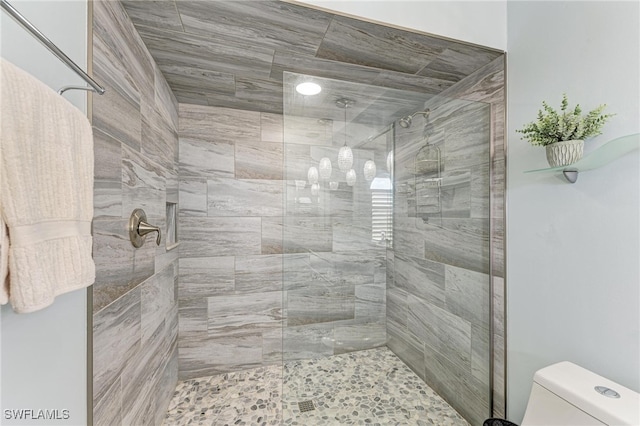 bathroom featuring toilet and an enclosed shower