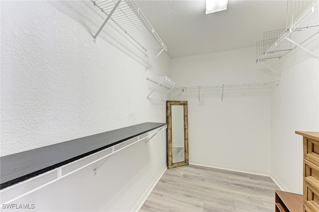 spacious closet with hardwood / wood-style flooring