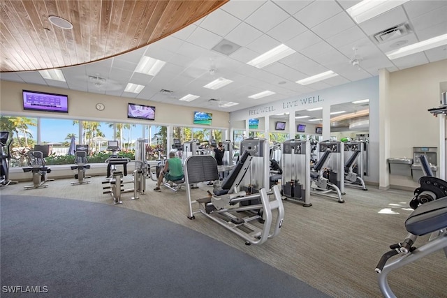 workout area featuring carpet floors