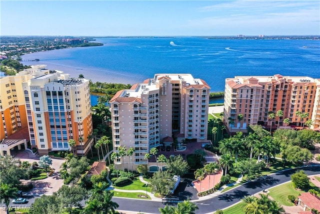 aerial view with a water view