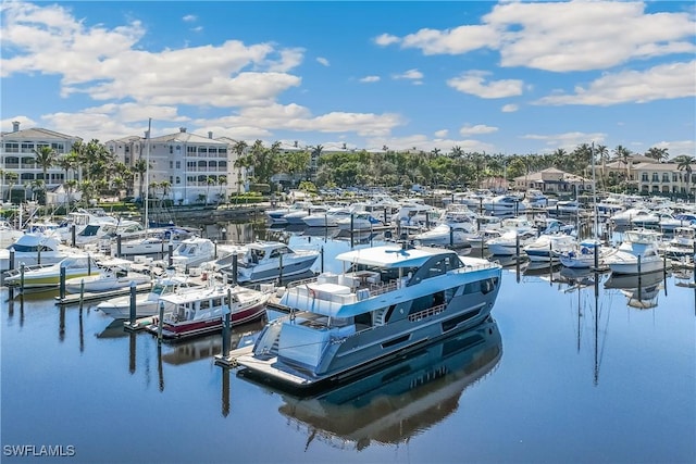 dock area featuring a water view