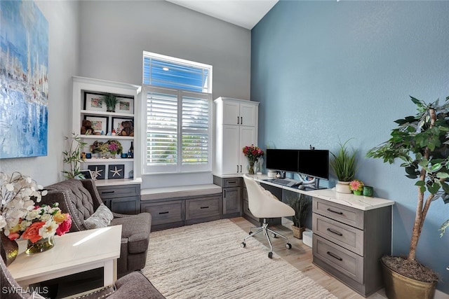 office area featuring light hardwood / wood-style floors