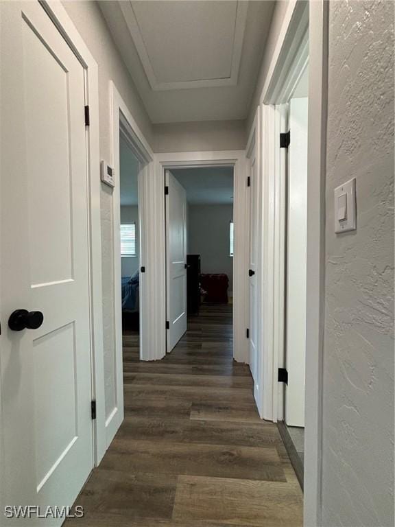 hallway featuring dark hardwood / wood-style flooring