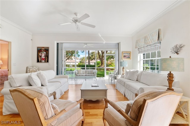 living room featuring ceiling fan, light hardwood / wood-style flooring, and crown molding