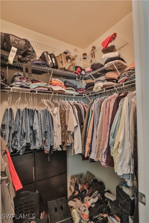 view of walk in closet