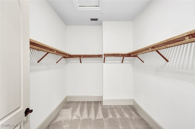 walk in closet with light carpet