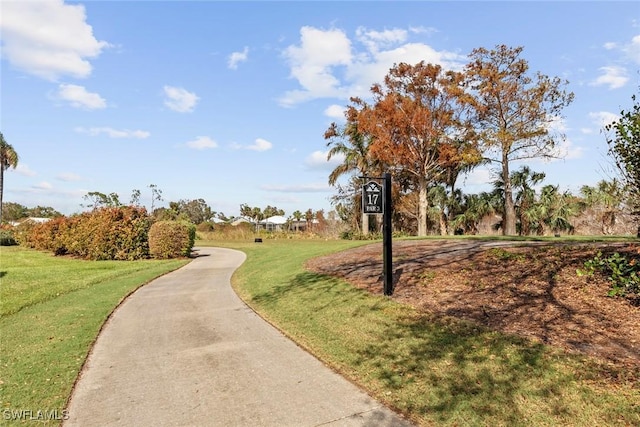 view of community featuring a yard