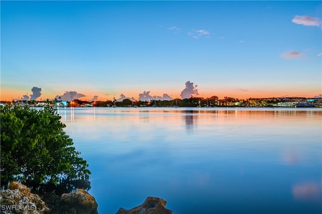 property view of water