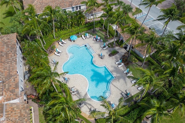 view of swimming pool with a patio area