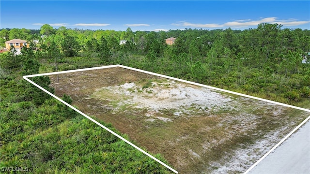 1319 State Ave, Lehigh Acres FL, 33972 land for sale