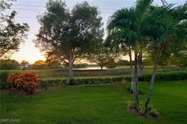 view of home's community featuring a yard