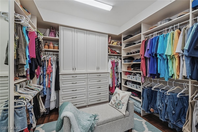 walk in closet with dark hardwood / wood-style floors