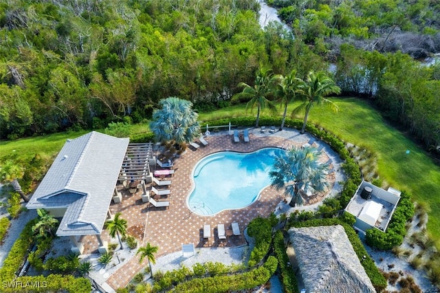 view of pool featuring a patio area